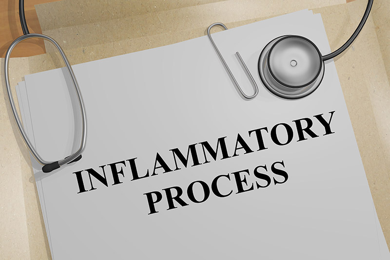 inflammation process report