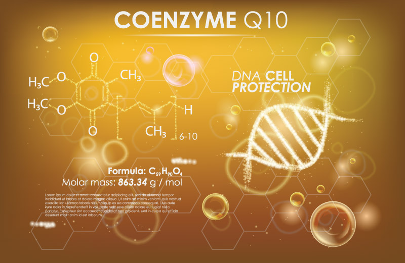 Coenzyme Q10 Facts