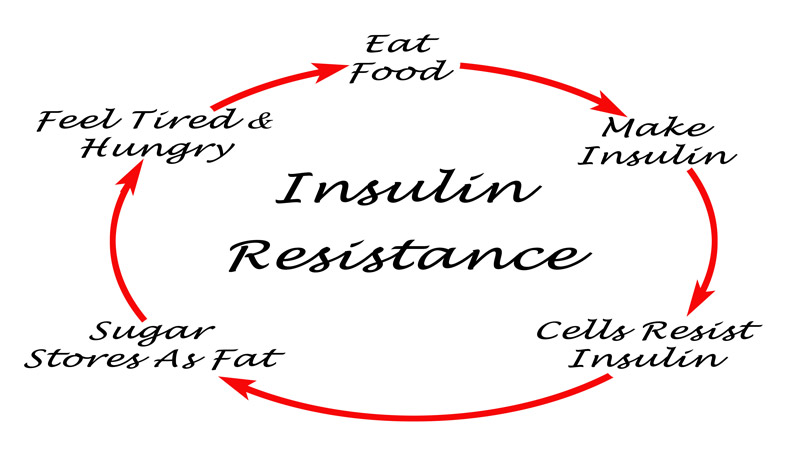 insulin resistance infographic